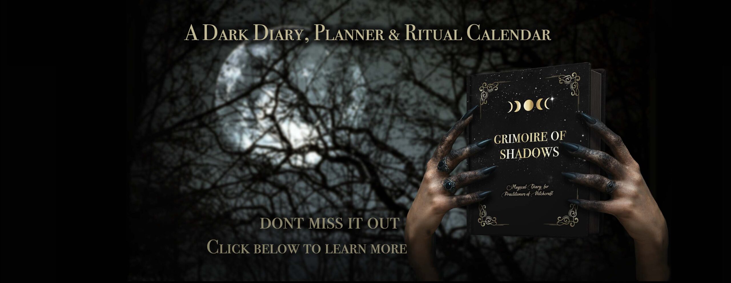 imagem-site-sacralmoon copy