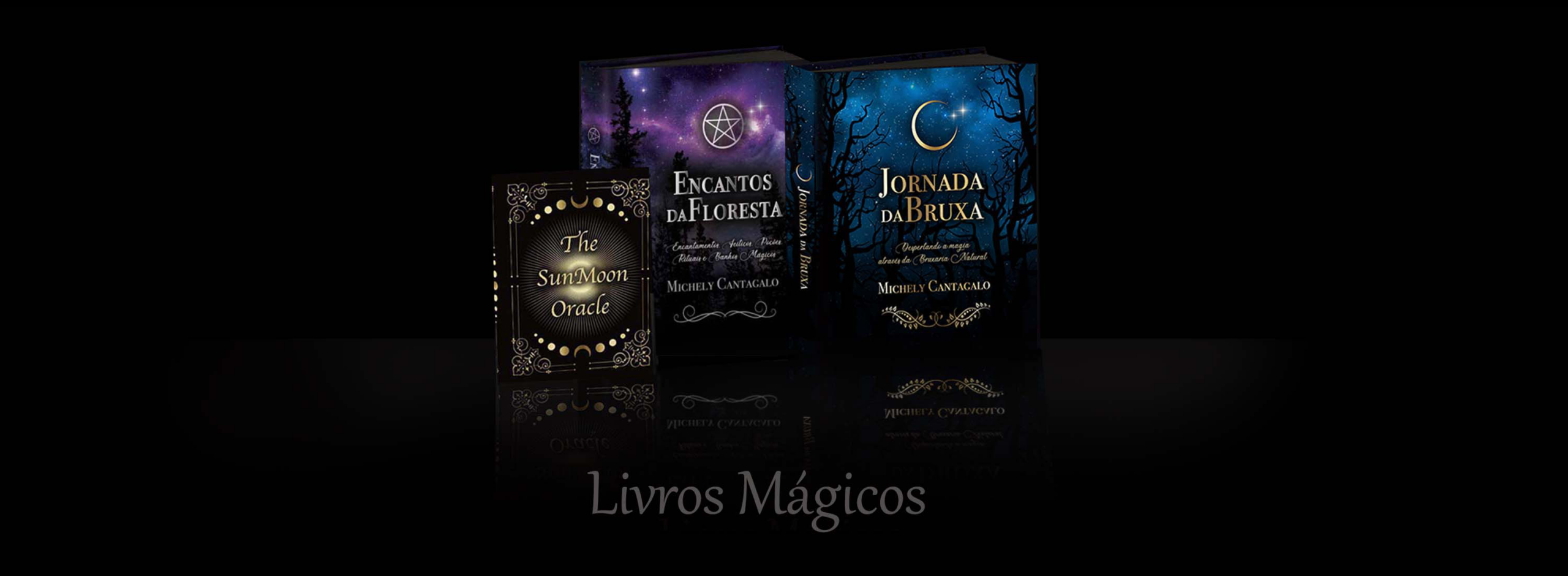 livros-ok