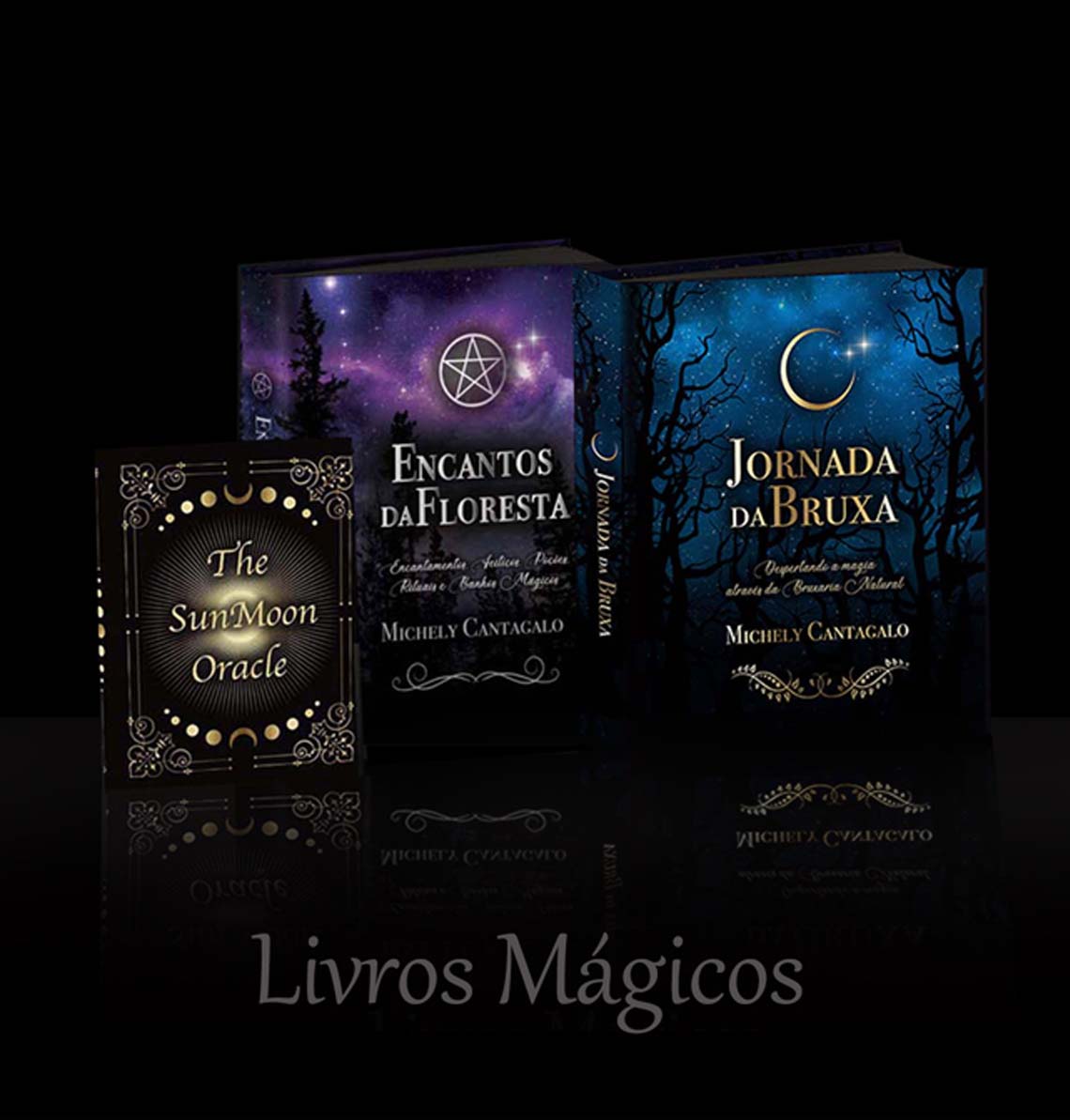 livros-ok
